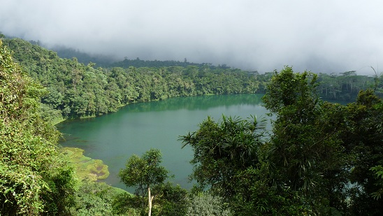 lac